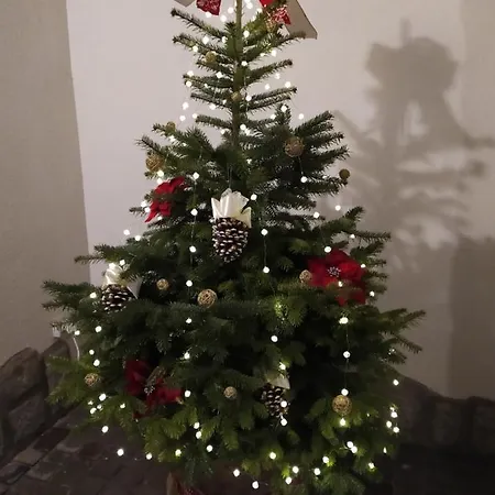 Rynok 25 Elite Center