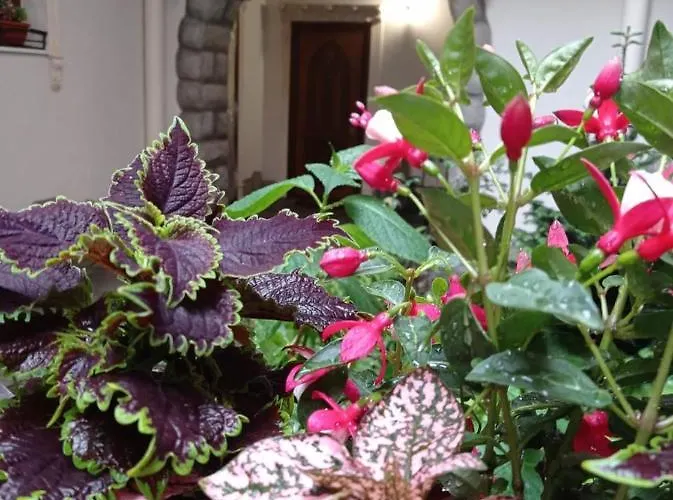 Rynok 25 Elite Center Львов