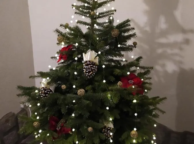 Rynok 25 Elite Center